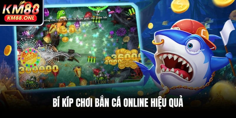 Chia sẻ những mẹo săn cá trực tuyến hay