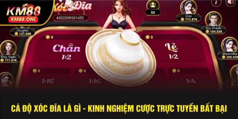 cá độ xóc đĩa