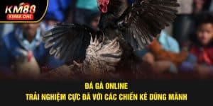 đá gà online