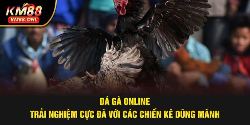 đá gà online
