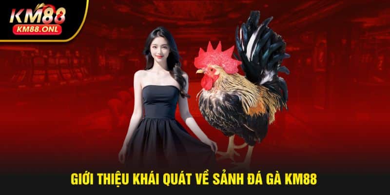 Sơ lược thông tin về sảnh đá gà KM88