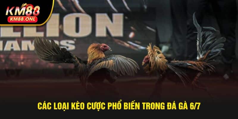 Các loại kèo cược 6/7 được hot nhất hiện nay