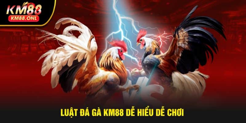Luật chơi đá gà chi tiết, dễ áp dụng cho tân binh