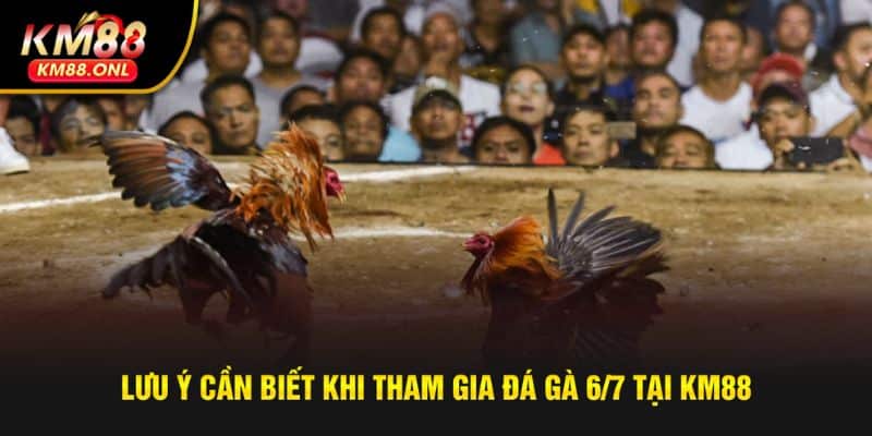 Những lưu ý quan trọng giúp chơi chọi kê an toàn