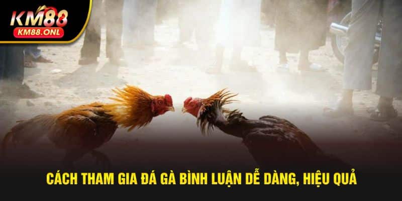 Hướng dẫn cách tham gia bình luận đá gà