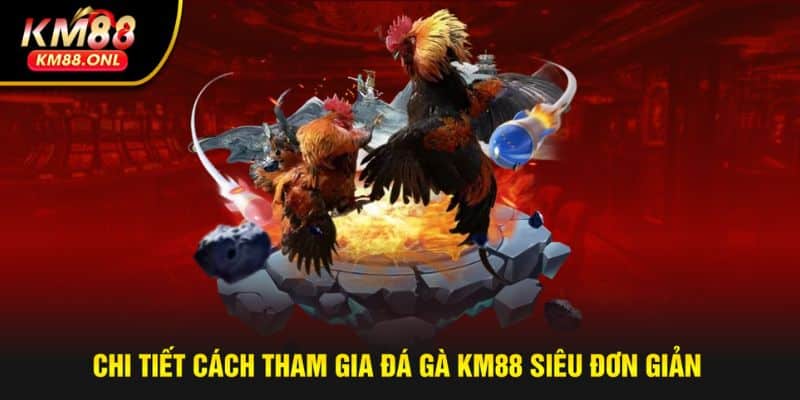 Các bước tham gia đá gà KM88 nhanh chóng