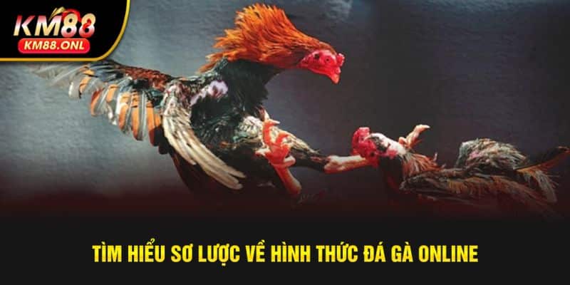 Trải nghiệm đá gà online chân thực, hiện đại