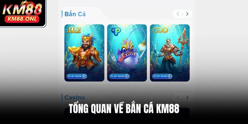 Giới thiệu đôi nét về bắn cá KM88