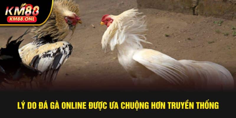 Đá gà trực tuyến chinh phục triệu tín đồ nhờ nhiều ưu điểm