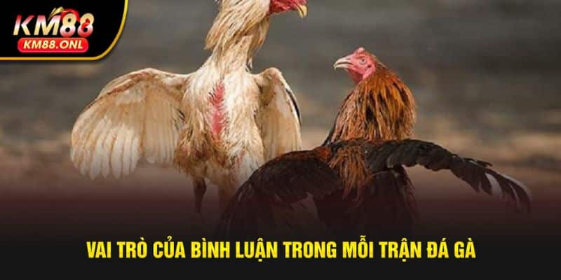 Tầm quan trọng của bình luận trong đá gà
